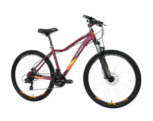 Ford Ranger 14 Inch Mountain Bike