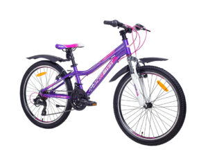 Liv Envie Advanced Tri 2 Framed Bike